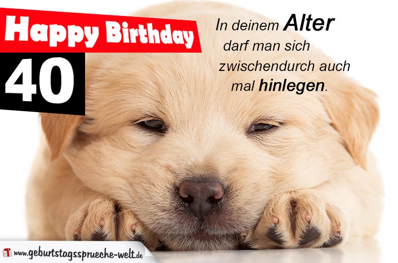 40. Geburtstag Geburtstagssprüche Karte mit Hund GeburtstagssprücheWelt