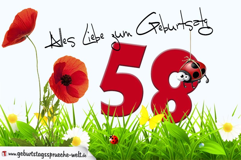 Geburtstagskarte mit Blumenwiese zum 58. Geburtstag - Geburtstagssprüche-Welt