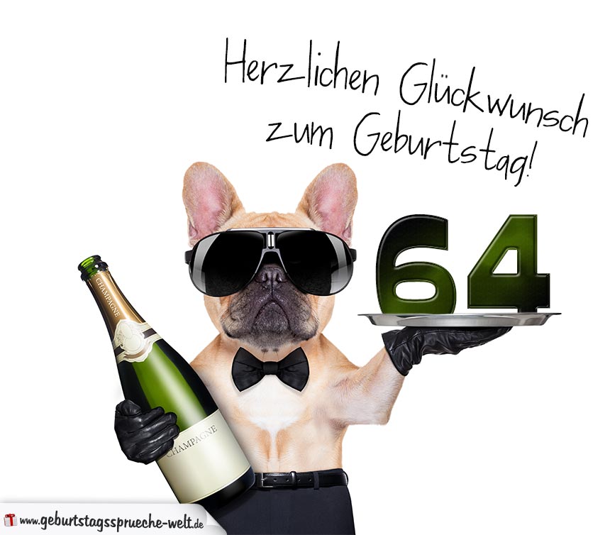 Glückwunschkarte mit Hund zum 64. Geburtstag - Geburtstagssprüche-Welt