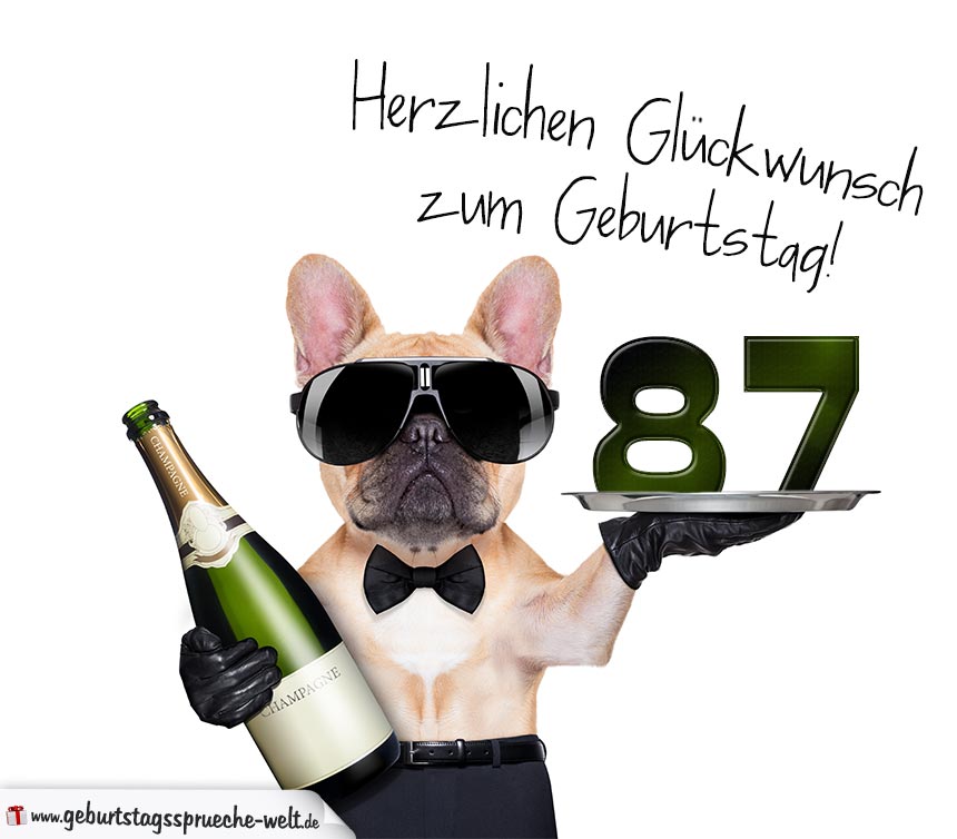 Gluckwunschkarte Mit Hund Zum 87 Geburtstag Geburtstagsspruche Welt