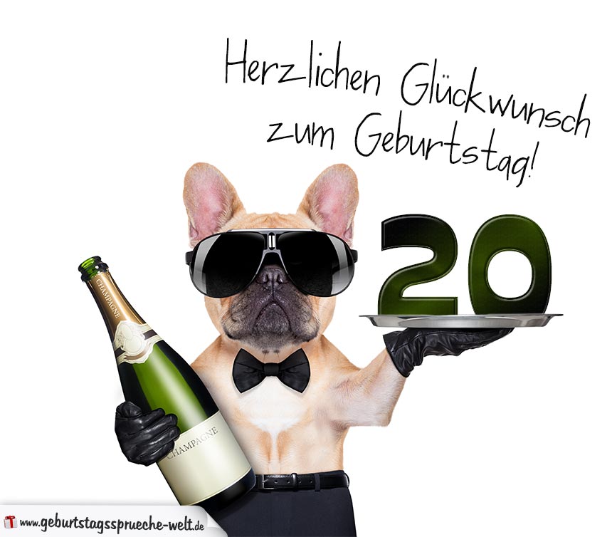 38+ Sprueche zum 20 geburtstag frech info