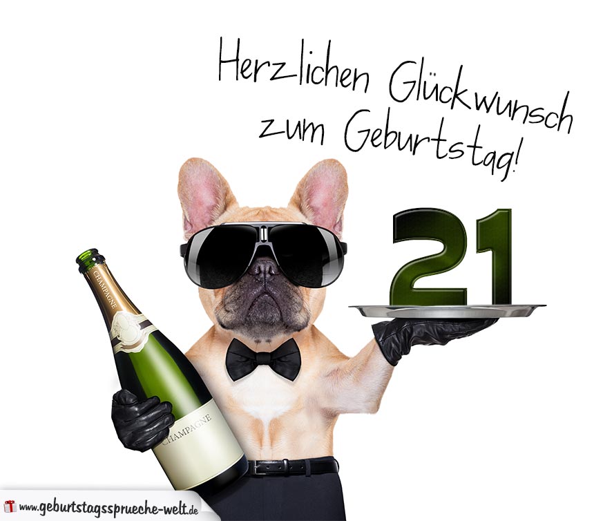30+ Lustige bilder zum 21 geburtstag , Glückwunschkarte mit Hund zum 21. Geburtstag GeburtstagssprücheWelt