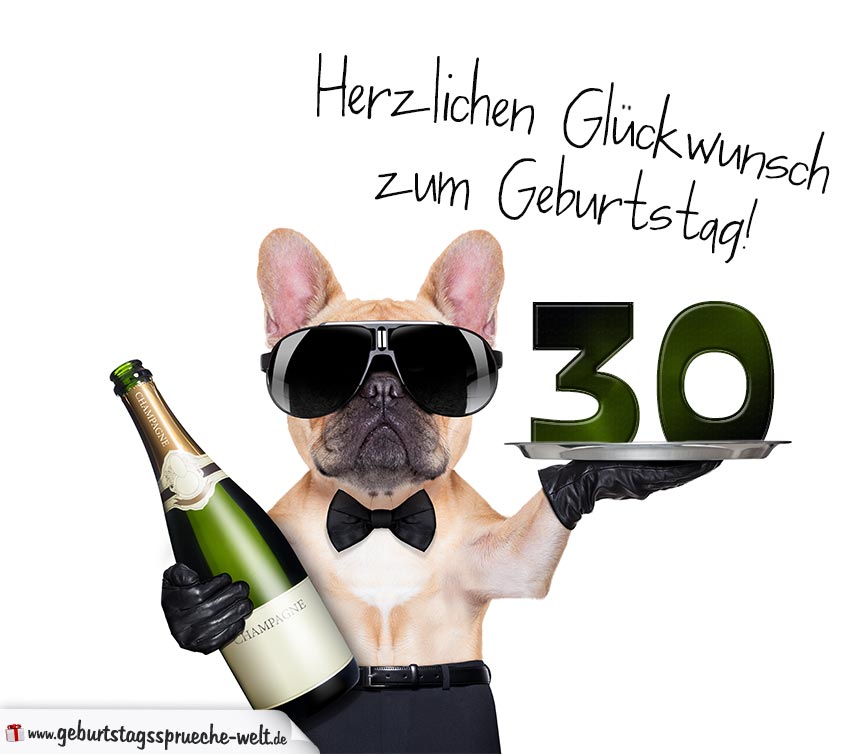 31++ 30 geburtstag frau sprueche , Glückwunschkarte mit Hund zum 30. Geburtstag GeburtstagssprücheWelt