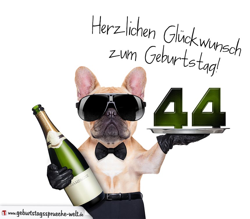 44+ Sprueche zum 75 geburtstag fuer eine frau , Glückwunschkarte mit Hund zum 44. Geburtstag GeburtstagssprücheWelt