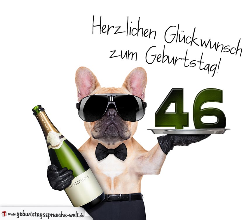 30+ Lustige sprueche zum 85 geburtstag , Glückwunschkarte mit Hund zum 46. Geburtstag GeburtstagssprücheWelt