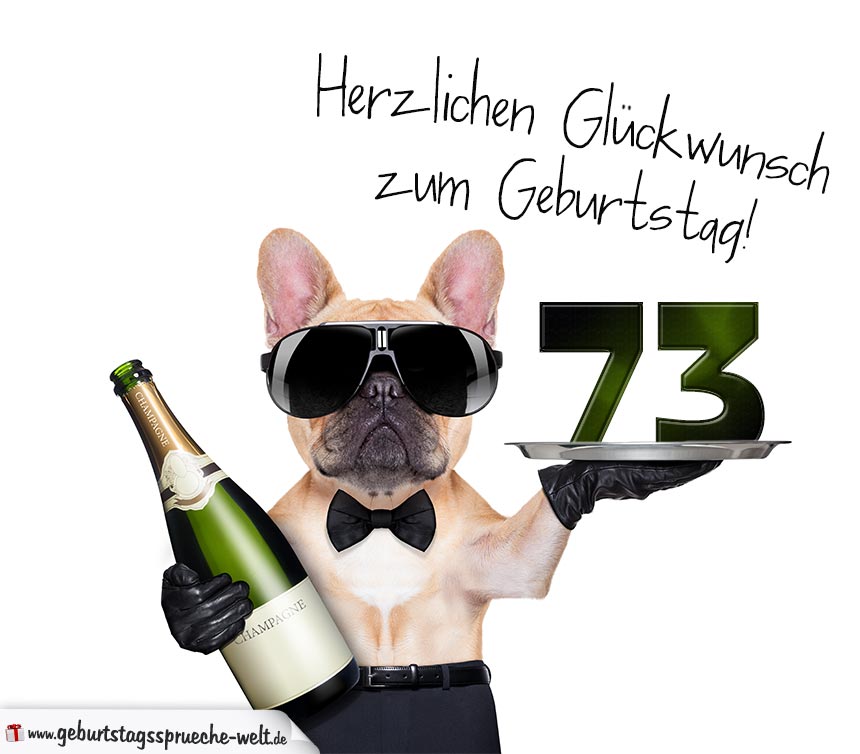 30++ Sprueche zum 35 geburtstag frau , Glückwunschkarte mit Hund zum 73. Geburtstag GeburtstagssprücheWelt