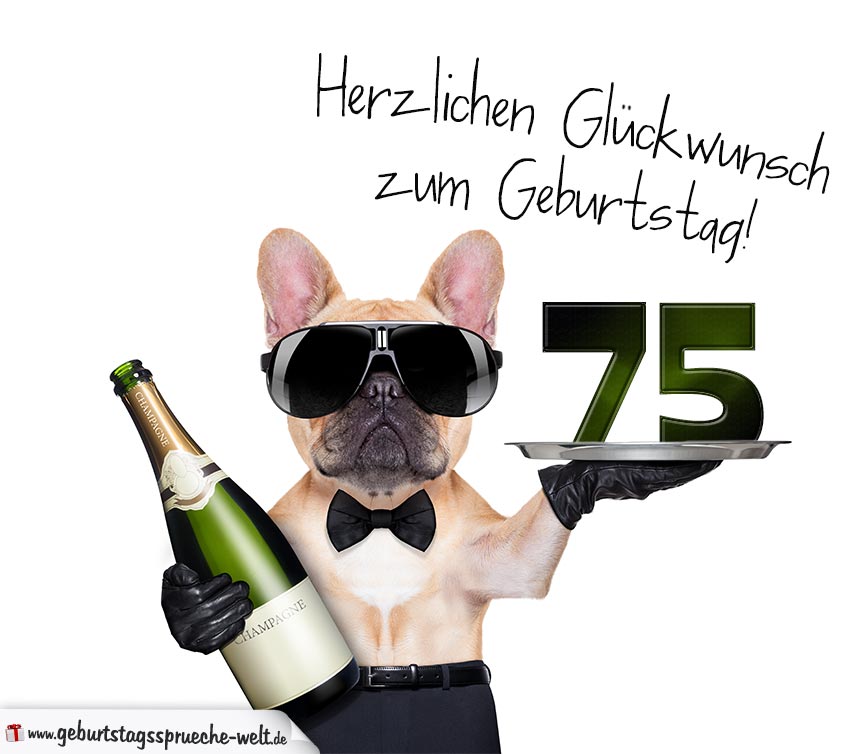 44++ Lustige sprueche zum 75 geburtstag frau , Glückwunschkarte mit Hund zum 75. Geburtstag GeburtstagssprücheWelt