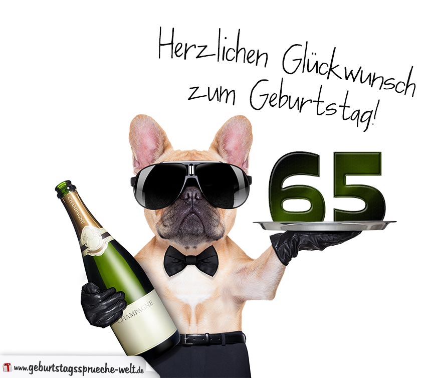 Glückwunschkarte mit Hund zum 65. Geburtstag GeburtstagssprücheWelt