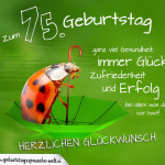 Geburtstagskarte mit Marienkäfer auf Regenschirm zum 75. Geburtstag