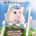 Geburtstagskarte mit Hamster und Spruch